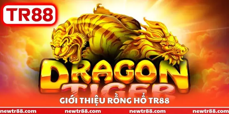 Giới thiệu Rồng Hổ TR88