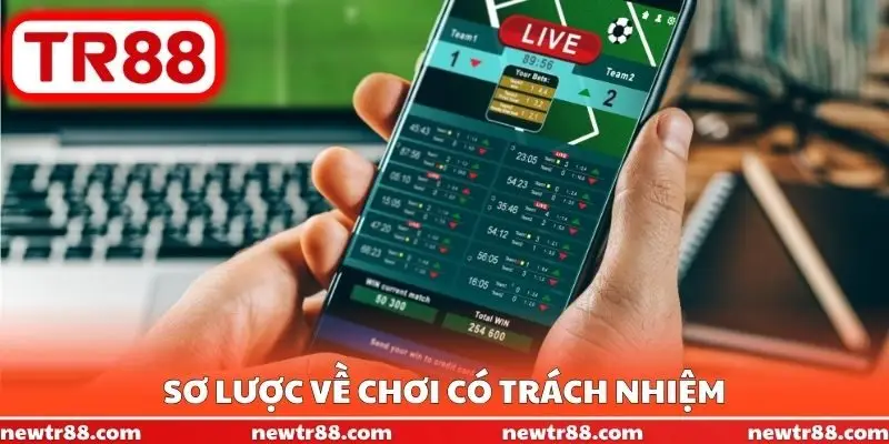 Sơ lược về chơi có trách nhiệm
