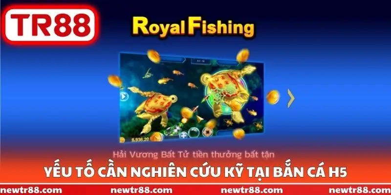 Yếu tố cần nghiên cứu kỹ tại bắn cá H5
