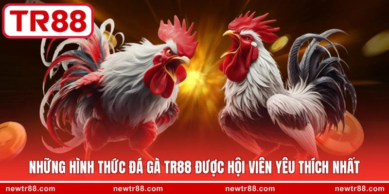 Những hình thức đá gà TR88 được hội viên yêu thích nhất