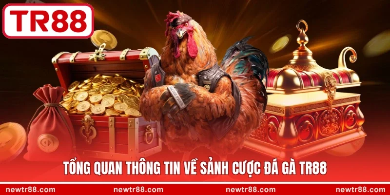 Tổng quan thông tin về sảnh cược đá gà TR88
